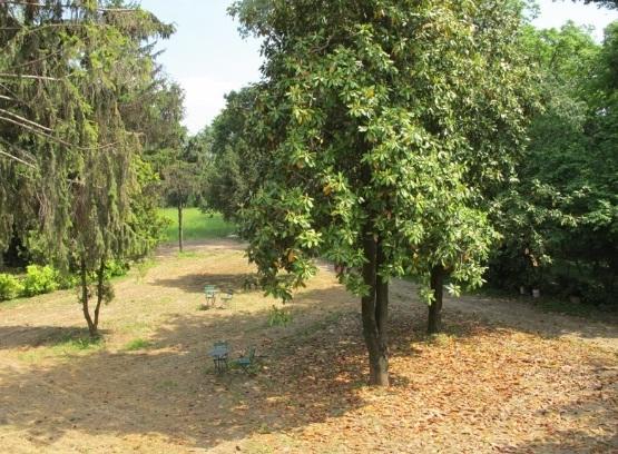 Gasthaus Il Giardino Del Conte Custoza Marmirolo Exterior foto
